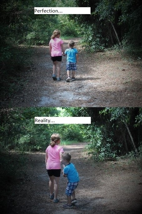 Perfection vs Reality 2